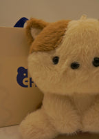 Kitty