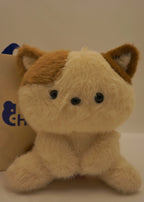 Kitty