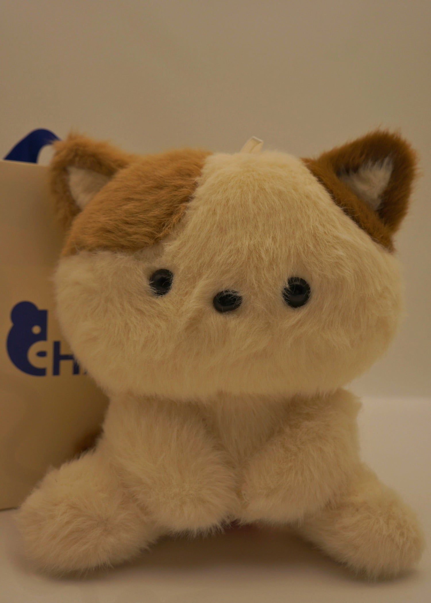 Kitty