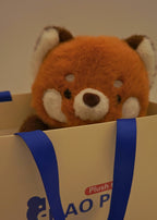 Red panda
