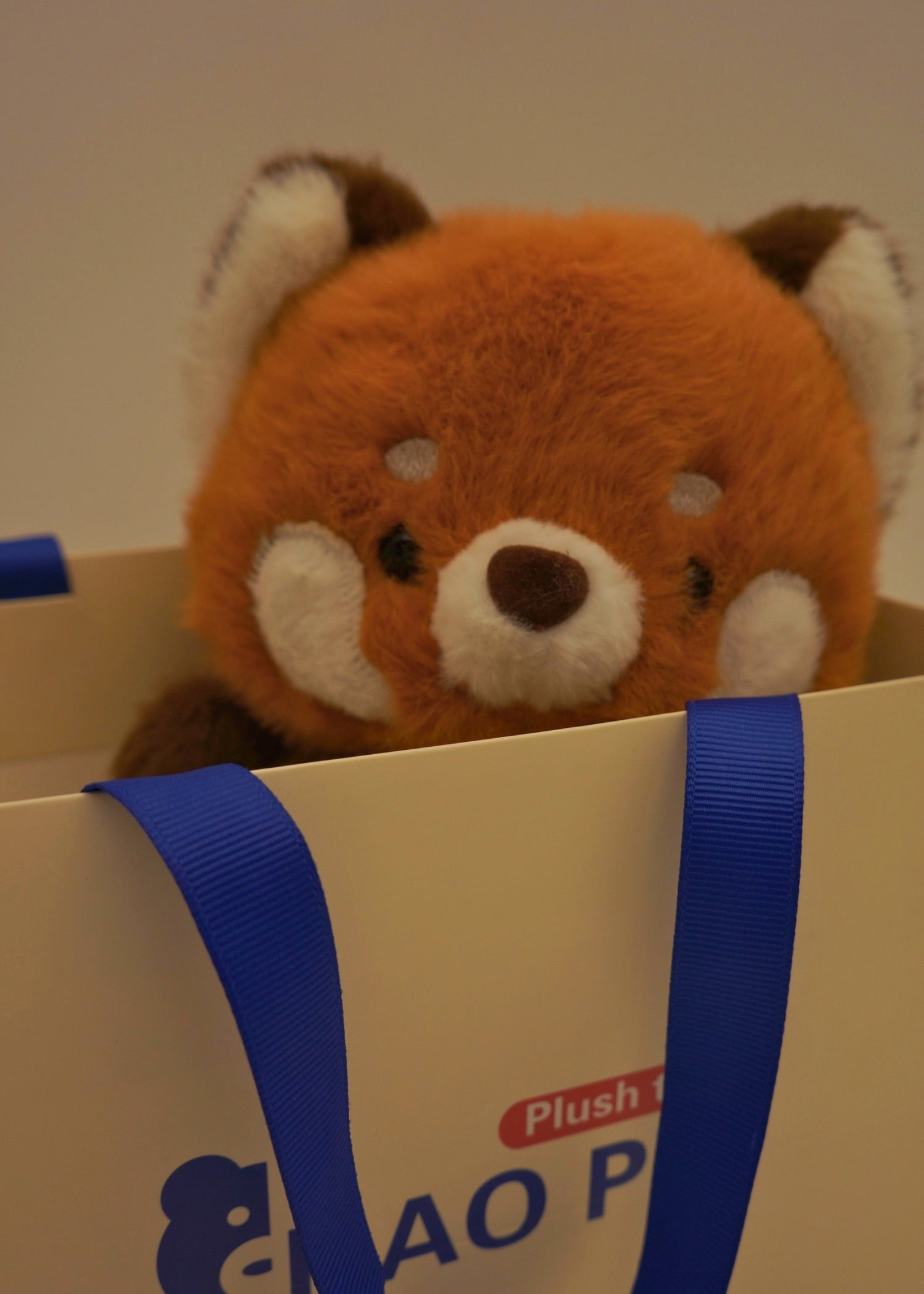 Red panda