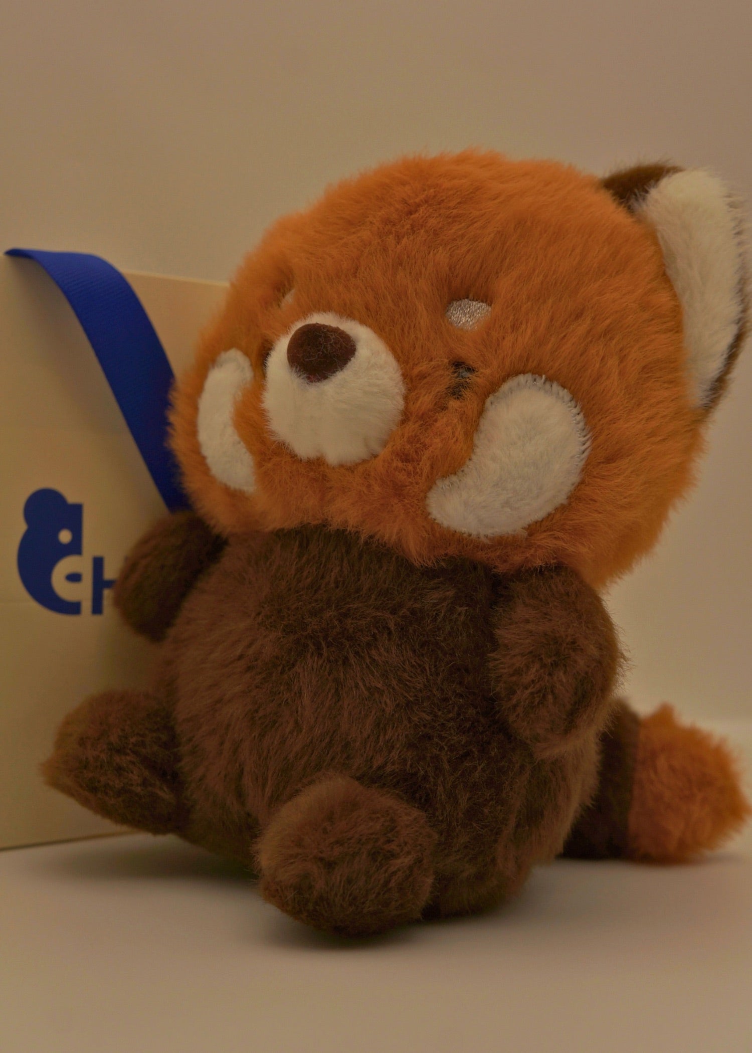 Red panda