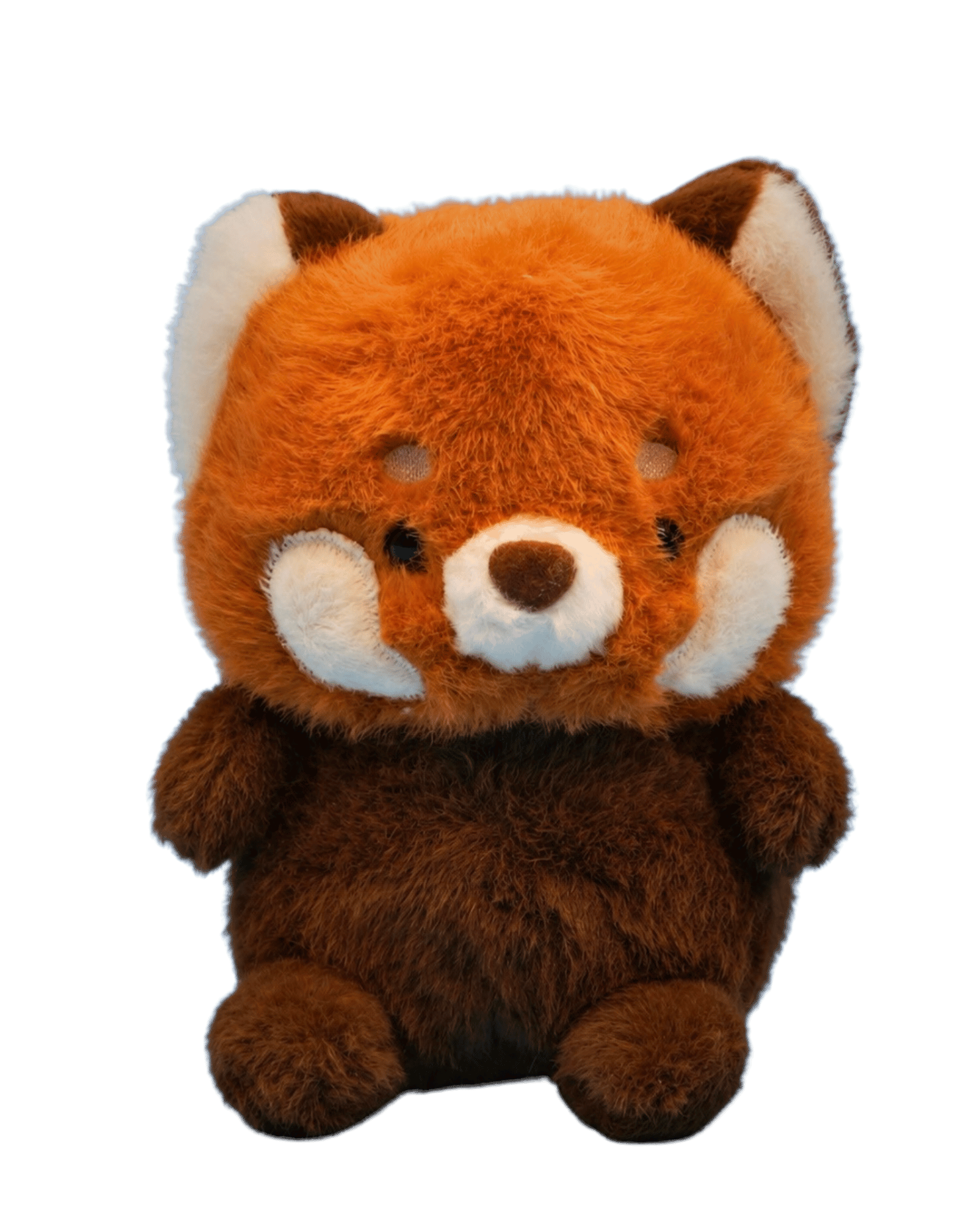 Red panda